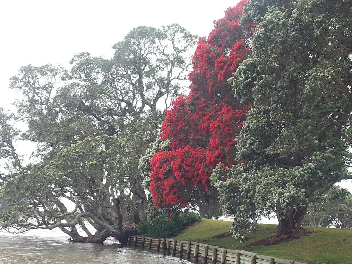 Athenree Hot Springs & Holiday Park Waihi Buitenkant foto
