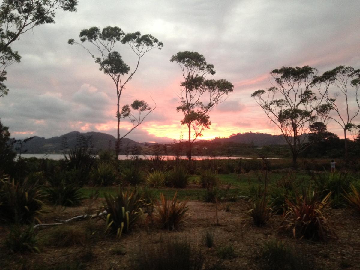 Athenree Hot Springs & Holiday Park Waihi Buitenkant foto